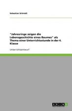 Jahresringe zeigen die Lebensgeschichte eines Baumes als Thema einer Unterrichtsstunde in der 4. Klasse
