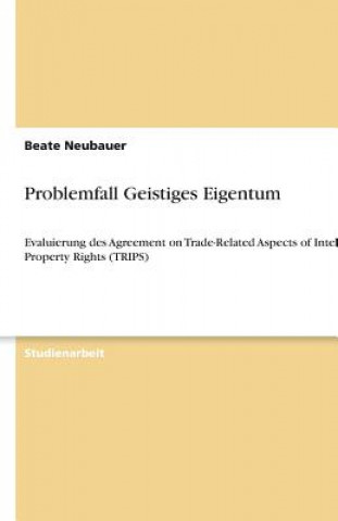 Problemfall Geistiges Eigentum