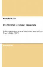 Problemfall Geistiges Eigentum