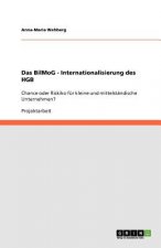 Das BilMoG - Internationalisierung des HGB