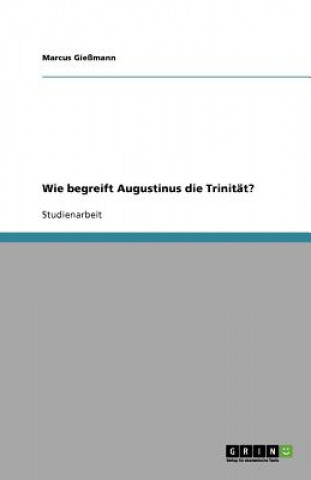 Wie begreift Augustinus die Trinitat?