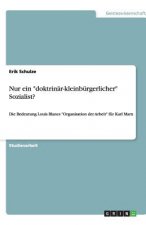 Nur ein doktrinar-kleinburgerlicher Sozialist?