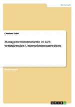 Managementinstrumente in sich verandernden Unternehmensumwelten