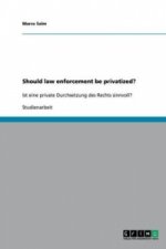 Should law enforcement be privatized?