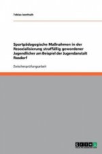 Sportpadagogische Massnahmen in der Resozialisierung straffallig gewordener Jugendlicher am Beispiel der Jugendanstalt Rosdorf