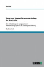 Gunst- und Ungunstfaktoren der Anlage der Stadt Halle