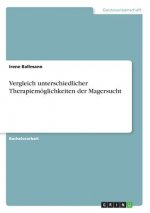 Vergleich unterschiedlicher Therapiemoeglichkeiten der Magersucht