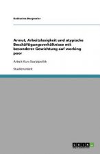 Armut, Arbeitslosigkeit und atypische Beschaftigungsverhaltnisse mit besonderer Gewichtung auf working poor