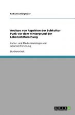 Analyse von Aspekten der Subkultur Punk vor dem Hintergrund der Lebensstilforschung