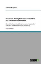 Persistenz, Bruchigkeit und Konstruktion von Geschlechtsidentitaten