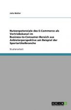Nutzenpotenziale des E-Commerce als Vertriebskanal im Business-to-Consumer-Bereich aus Anbieterperspektive am Beispiel der Sportartikelbranche