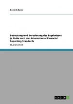 Bedeutung und Berechnung des Ergebnisses je Aktie nach den International Financial Reporting Standards