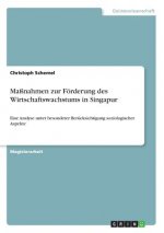 Massnahmen zur Foerderung des Wirtschaftswachstums in Singapur