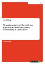 parlamentarische Kontrolle der Regierung wahrend der grossen Koalition(en) in Deutschland