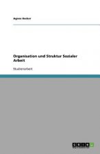 Organisation und Struktur Sozialer Arbeit