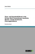 Slum- und Squatterbildung in der Dritten Welt