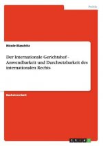 Internationale Gerichtshof - Anwendbarkeit und Durchsetzbarkeit des internationalen Rechts