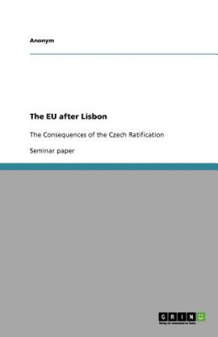 The EU after Lisbon