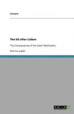 The EU after Lisbon