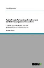 Public Private Partnership als Instrument der Entwicklungszusammenarbeit