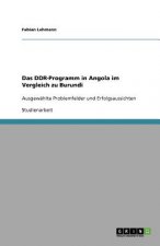 DDR-Programm in Angola im Vergleich zu Burundi