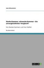 Starke Kammer, schwache Kammer - Ein unvergleichlicher Vergleich?