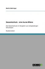 Gesamtschule - eine kurze Bilanz
