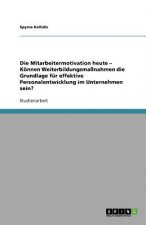 Mitarbeitermotivation heute - Koennen Weiterbildungsmassnahmen die Grundlage fur effektive Personalentwicklung im Unternehmen sein?