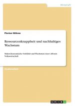 Ressourcenknappheit und nachhaltiges Wachstum