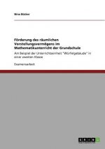 Foerderung des raumlichen Vorstellungsvermoegens im Mathematikunterricht der Grundschule