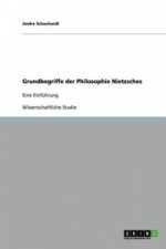 Grundbegriffe der Philosophie Nietzsches