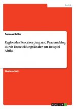 Regionales Peacekeeping und Peacemaking durch Entwicklungslander am Beispiel Afrika