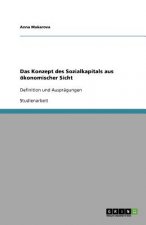 Das Konzept des Sozialkapitals aus oekonomischer Sicht