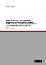 Effizienz der Fiskalpolitik Deutschlands und der Europaischen Zentralbank wahrend der Finanzkrise 2007 ff.