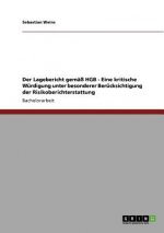 Lagebericht gemass HGB. Die Risikoberichterstattung