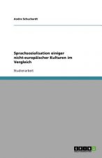Sprachsozialisation Einiger Nicht-Europaischer Kulturen Im Vergleich