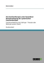 Familientherapie unter besonderer Berucksichtigung der systemischen Familientherapie
