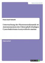 Untersuchung der Fluoreszenzdynamik im Antennensystem des Chlorophyll d-haltigen Cyanobakteriums Acaryochloris marina