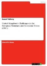 United Kingdom's Challenges in the European Monetary and Economic Union (Emu)