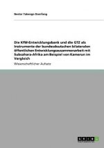 KfW-Entwicklungsbank und die GTZ als Instrumente der bundesdeutschen bilateralen oeffentlichen Entwicklungszusammenarbeit mit Subsahara-Afrika am Beis