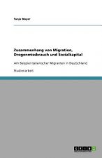 Zusammenhang von Migration, Drogenmissbrauch und Sozialkapital