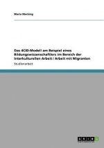4CID-Modell am Beispiel eines Bildungswissenschaftlers im Bereich der Interkulturellen Arbeit / Arbeit mit Migranten
