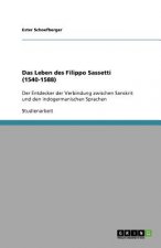 Das Leben des Filippo Sassetti (1540-1588)
