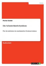 Schmitt-Rawls-Synthese