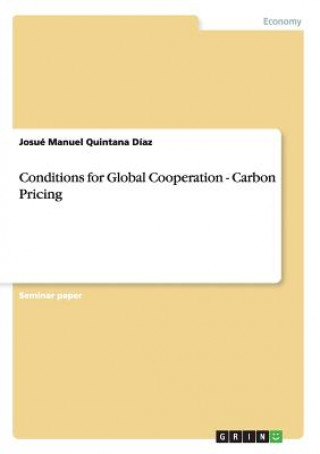 Conditions for Global Cooperation - Carbon Pricing
