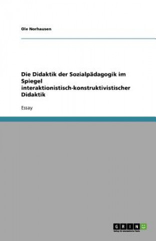Didaktik Der Sozialpadagogik Im Spiegel Interaktionistisch-Konstruktivistischer Didaktik