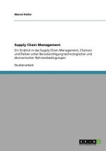 Supply Chain Management. Einblick, Chancen Und Risiken