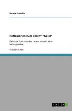 Reflexionen zum Begriff 