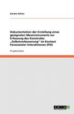 Dokumentation der Erstellung eines geeigneten Messinstruments zur Erfassung des Konstrukts 