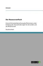 Der Ressourcenfluch